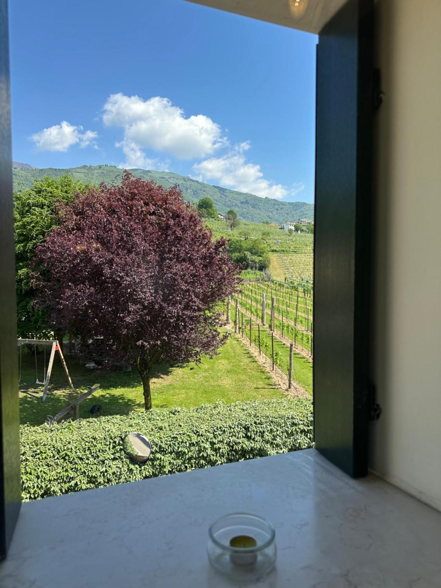 Casa Vacanze Ricca Vigna Вальдоббьадене Экстерьер фото